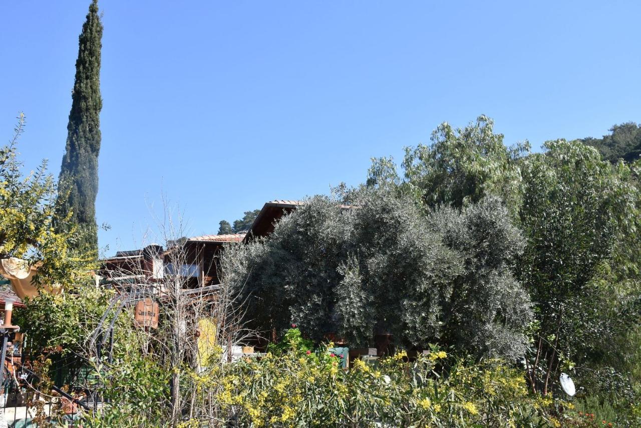 Casa Roja Appartement Cedit Buitenkant foto