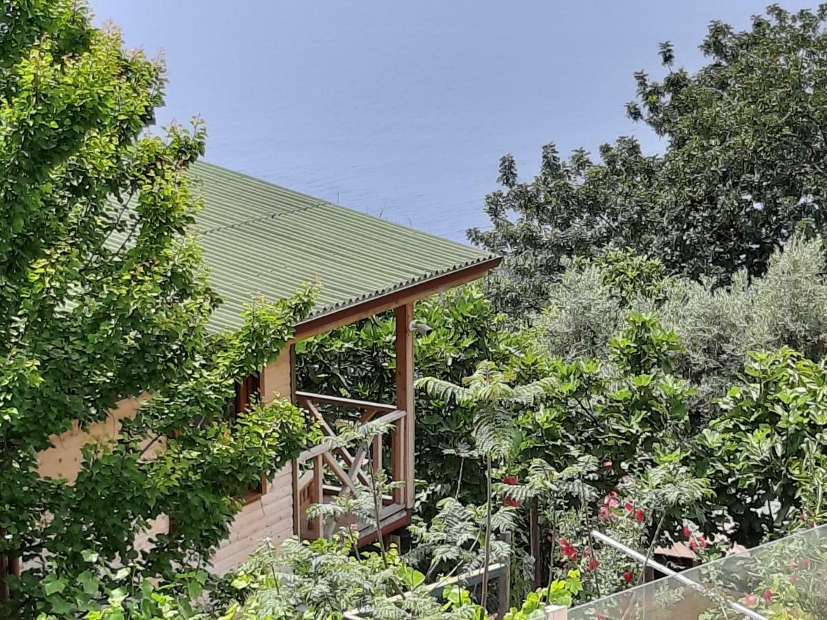 Casa Roja Appartement Cedit Buitenkant foto